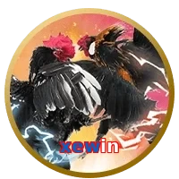 xewin